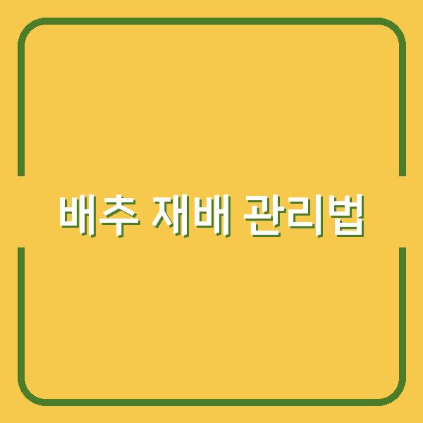 봄·가을배추 재배, 최적 배추 심는 시기와 효과적인 물·거름 관리법 공개