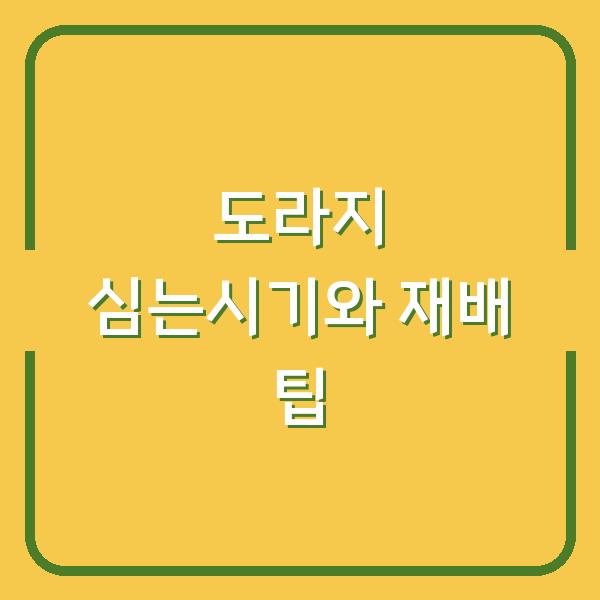 도라지 심는시기와 파종 방법, 수확까지 3배 늘리는 재배 팁