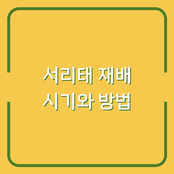 서리태 심는 시기 놓치면 수확량 반토막… 지금 당장 확인해야 할 재배 방법