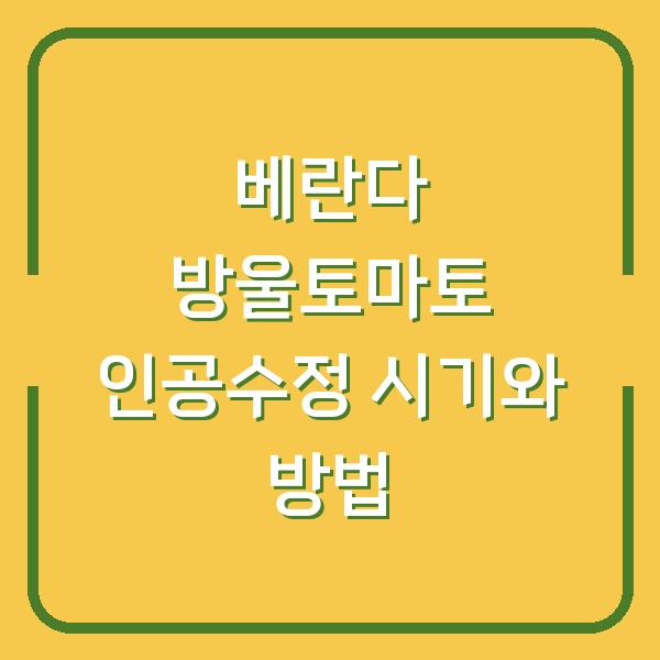 베란다 방울토마토, 꽃만 피고 열매 안 맺힌다면? 인공수정 시기와 방법