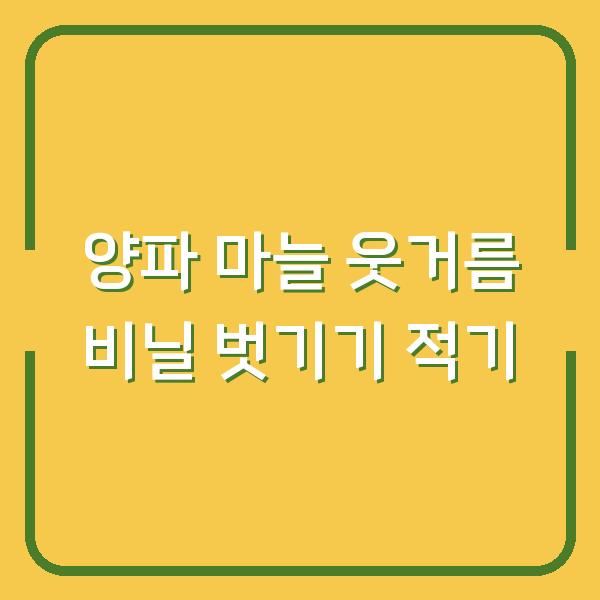 양파 마늘 웃거름 주기와 비닐 벗기기 적기, 이렇게 하면 수확량이 달라집니다