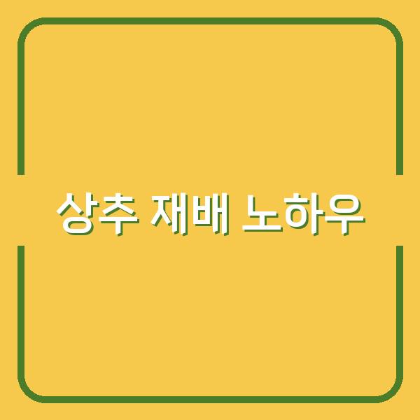 베란다부터 노지까지, 상추 씨앗 심기부터 수확까지 놓치면 안 될 실전 노하우