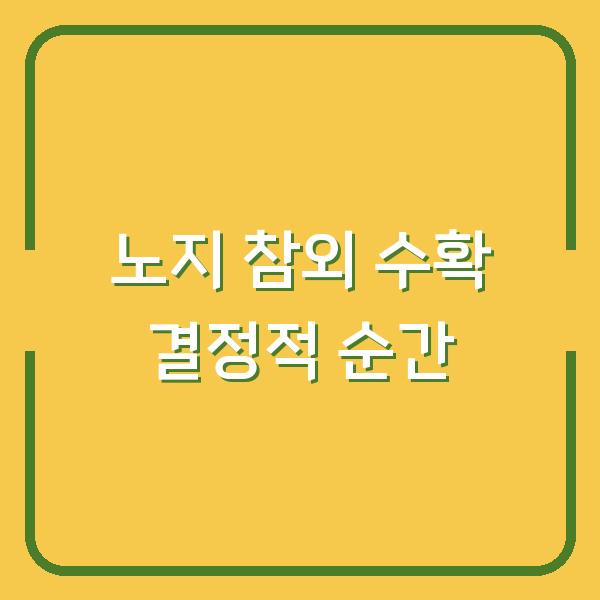 노지 참외 수확시기, 당도 높은 열매 고르는 결정적 순간