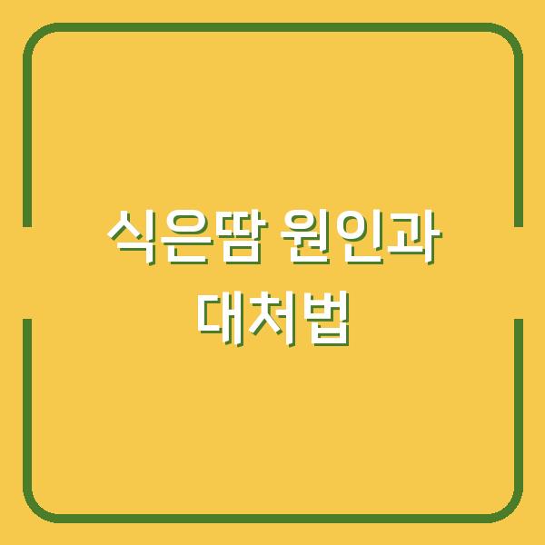 식은땀이 계속 난다면? 지금 당장 확인해야 할 3가지 원인과 생활 속 대처법