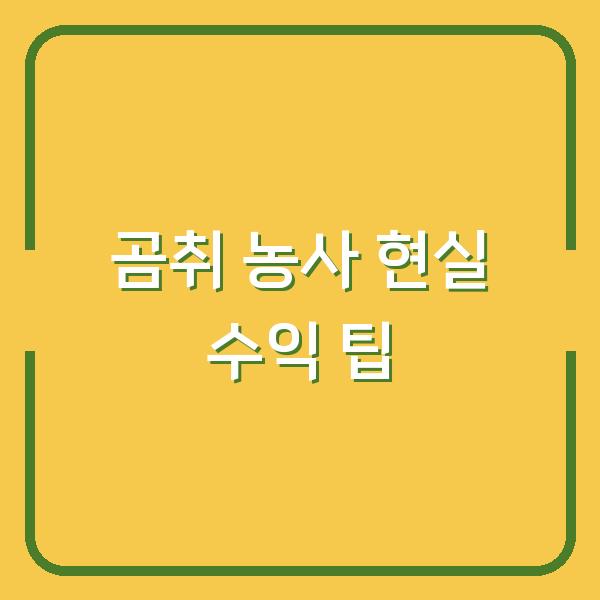 곰취 농사로 연 500만원 버는 법 – 심는 시기부터 수확까지 현실 팁