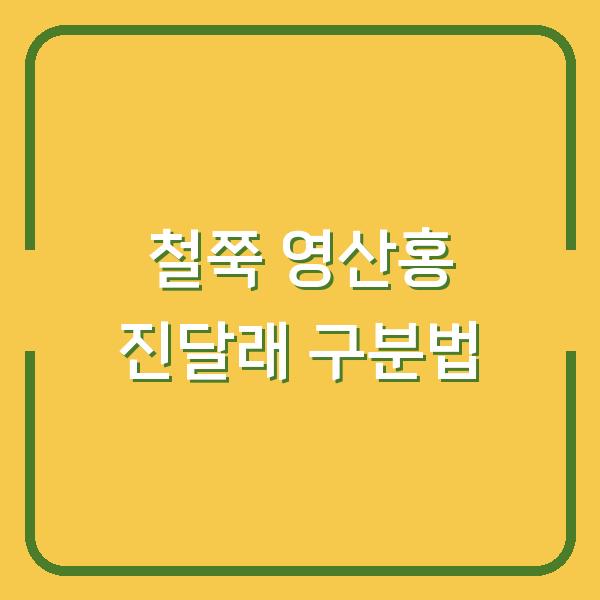 철쭉·영산홍·진달래 헷갈리시나요? 개화시기와 꽃말로 확실히 구분하는 법