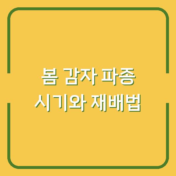 2026년 봄 감자 심기, 수확량 2배로 만드는 파종 시기와 재배법
