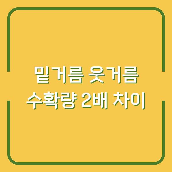 밑거름과 웃거름만 바꿔도 텃밭 수확량이 2배 차이 나는 이유