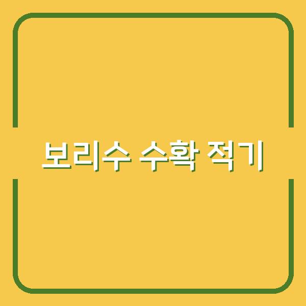 보리수 수확 시기, 잘못 놓치면 당도와 효능이 반으로 줄어듭니다