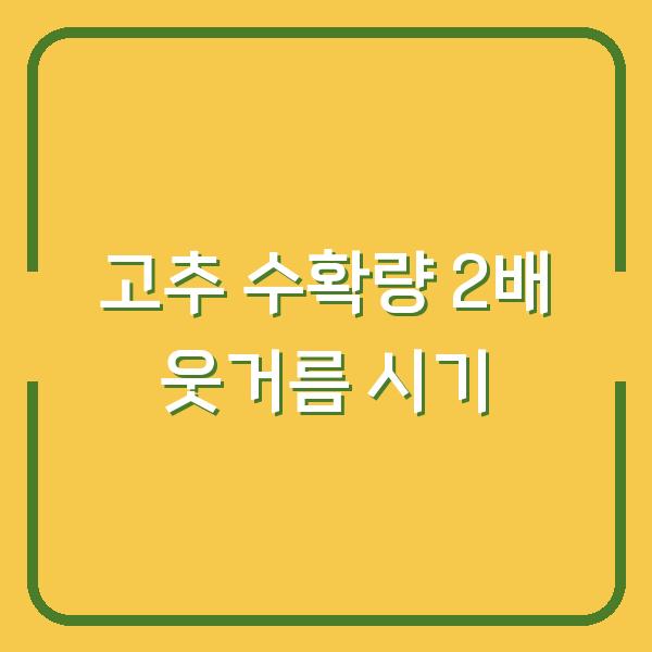 고추 수확량 2배로 늘리는 웃거름·추비 시기, 이 방법만 지키세요