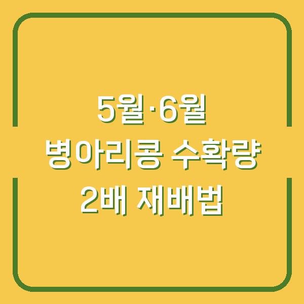 5월과 6월에 병아리콩 심으면 수확량 2배? 실제 재배 방법과 수확 시기