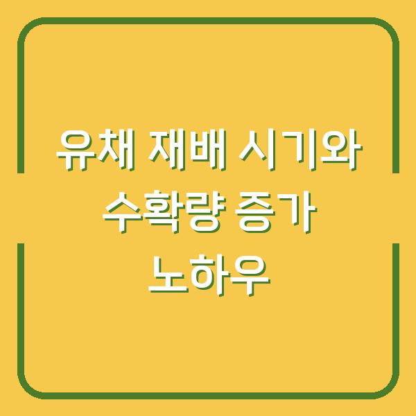유채 심는 시기와 수확량 2배로 늘리는 재배 노하우 5가지