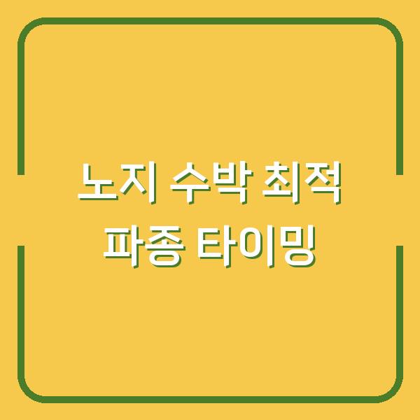 노지 수박 심는 시기, 3년 농사로 알아낸 최적의 타이밍