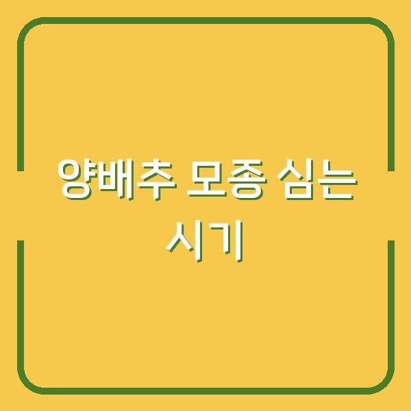 양배추 심는 시기, 이렇게 하면 모종 실패 없이 첫 수확까지 성공합니다