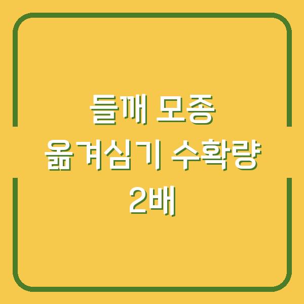 들깨 심는 시기 놓쳤다면? 모종 옮겨심기로 수확량 2배 올리는 법