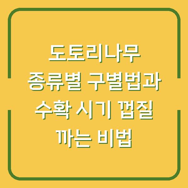 도토리나무 종류별 구별법부터 수확 시기 껍질 쉽게 까는 비법까지