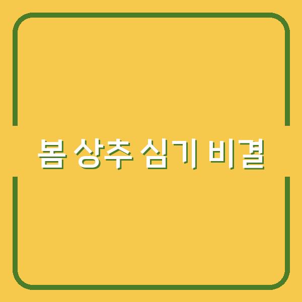 2026년 봄 상추 지금 심으면 5월까지 수확하는 비결