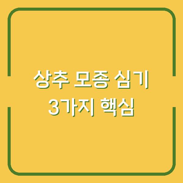 상추 모종 심기 3가지만 바꾸면 실패 없이 폭풍 수확
