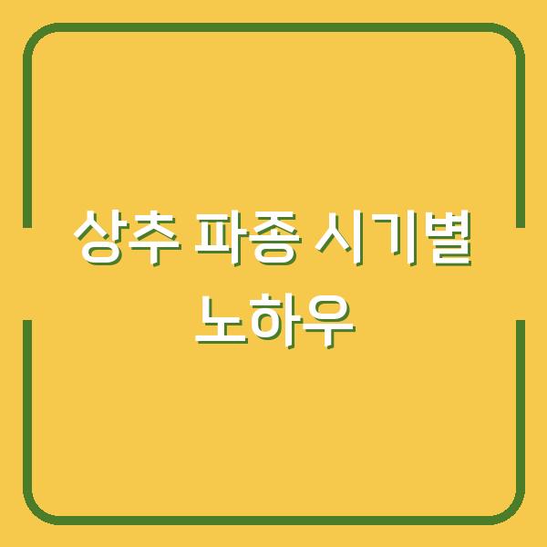 봄·여름·가을 파종 시기별 상추 모종 심는 법과 수확 노하우