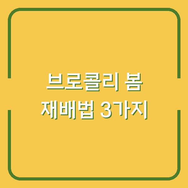 2026년 봄 브로콜리 심는 시기와 재배법 3가지만 바꾸면 수확량이 달라집니다