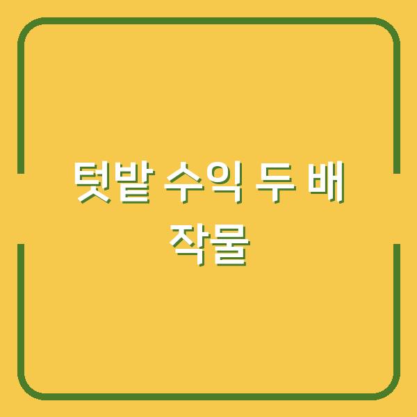 2026년 하지 감자 수확 후, 텃밭에 심으면 수익 두 배로 만드는 작물 5가지