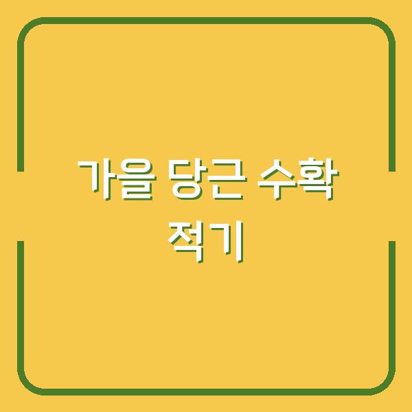가을당근, 수확 시기를 놓치면 맛이 반감됩니다 – 저장성까지 높이는 수확 & 보관법