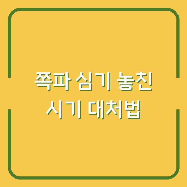 쪽파 심는 시기 놓쳤다면? 지금 바로 따라 해도 되는 심기 방법 & 씨앗 구하는 법