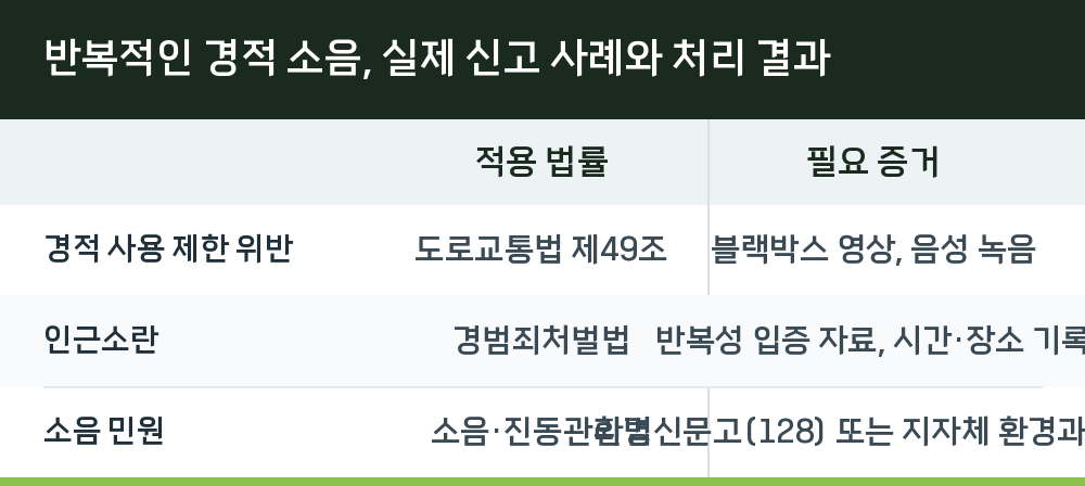반복적인 경적 소음, 실제 신고 사례와 처리 결과