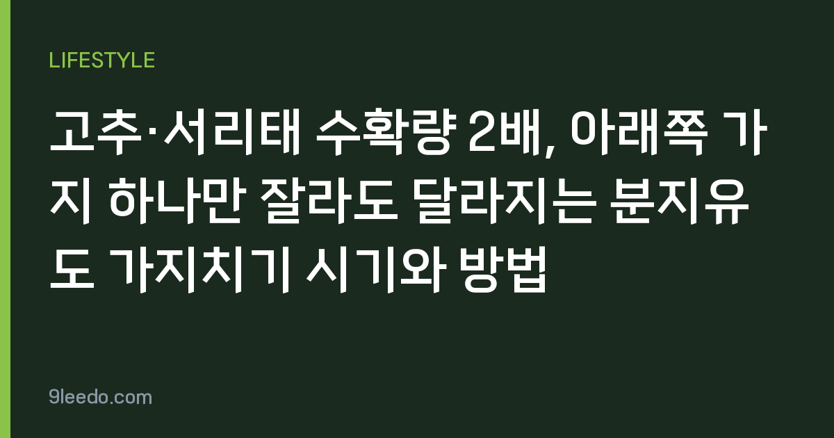 고추·서리태 수확량 2배, 아래쪽 가지 하나만 잘라도 달라지는 분지유도 가지치기 시기와 방법