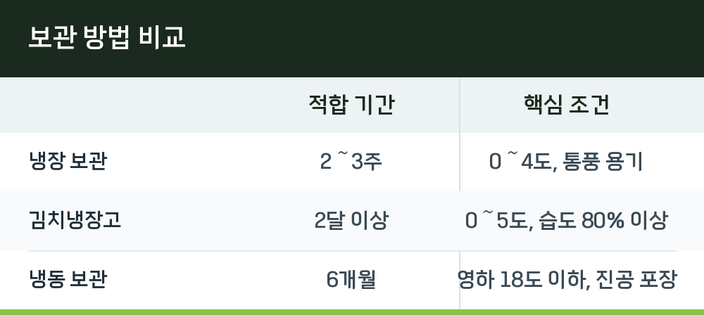 보관 방법 비교