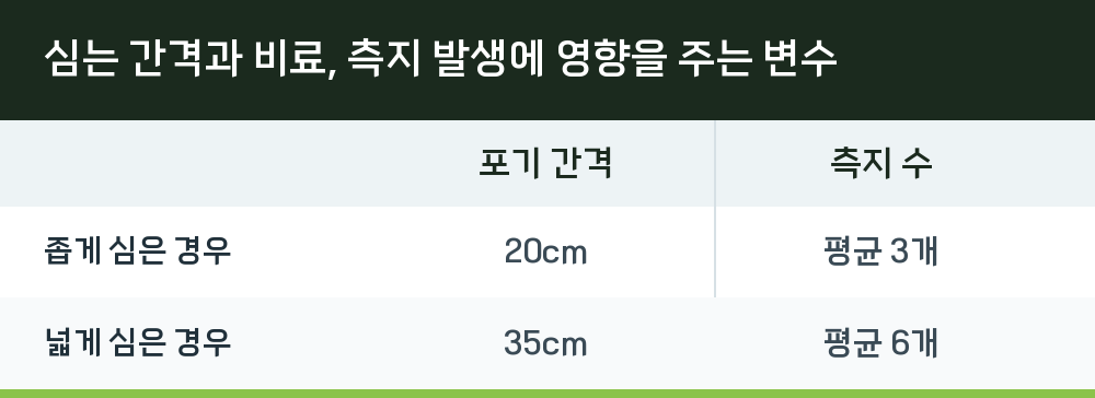 심는 간격과 비료, 측지 발생에 영향을 주는 변수
