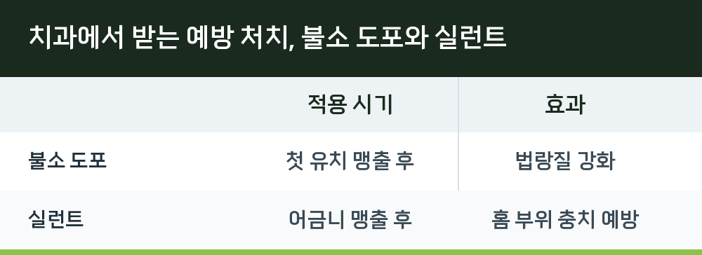 치과에서 받는 예방 처치, 불소 도포와 실런트